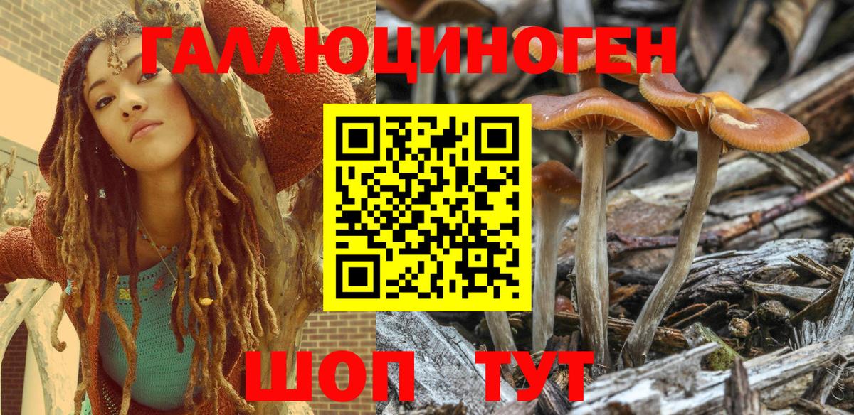 Псилоцибиновые грибы MAGIC MUSHROOMS  Галлюциногенные грибы MAGIC MUSHROOMS  Вход с VPN  Ивантеевка 